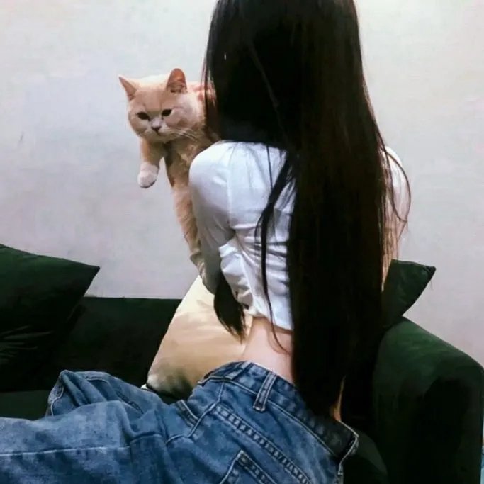 雀圣2自摸天后